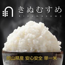 【新米予約】28年産　きぬむすめ　30kg(玄米)　【送料無料】
